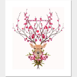 spring deer Posters and Art